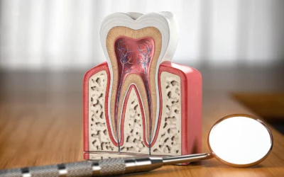 The Truth About Root Canals: A Superior Clinical Rescue for Your Smile